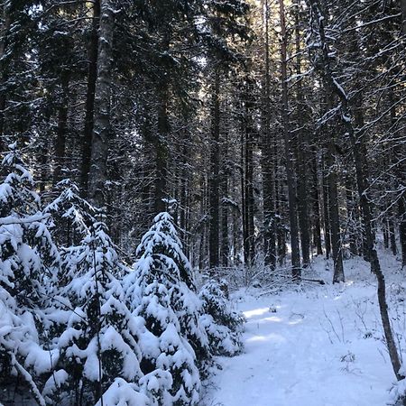 Kungsbergetnatur Järbo Екстериор снимка